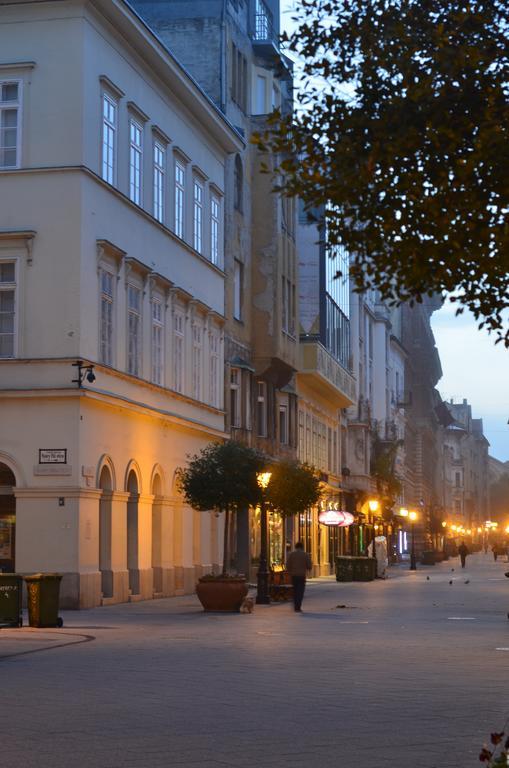 Vaci Street Downtown Apartments بودابست المظهر الخارجي الصورة